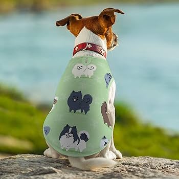 Amazon.co.jp: ポメラニアン ペット ペット服 犬服 春夏秋 T