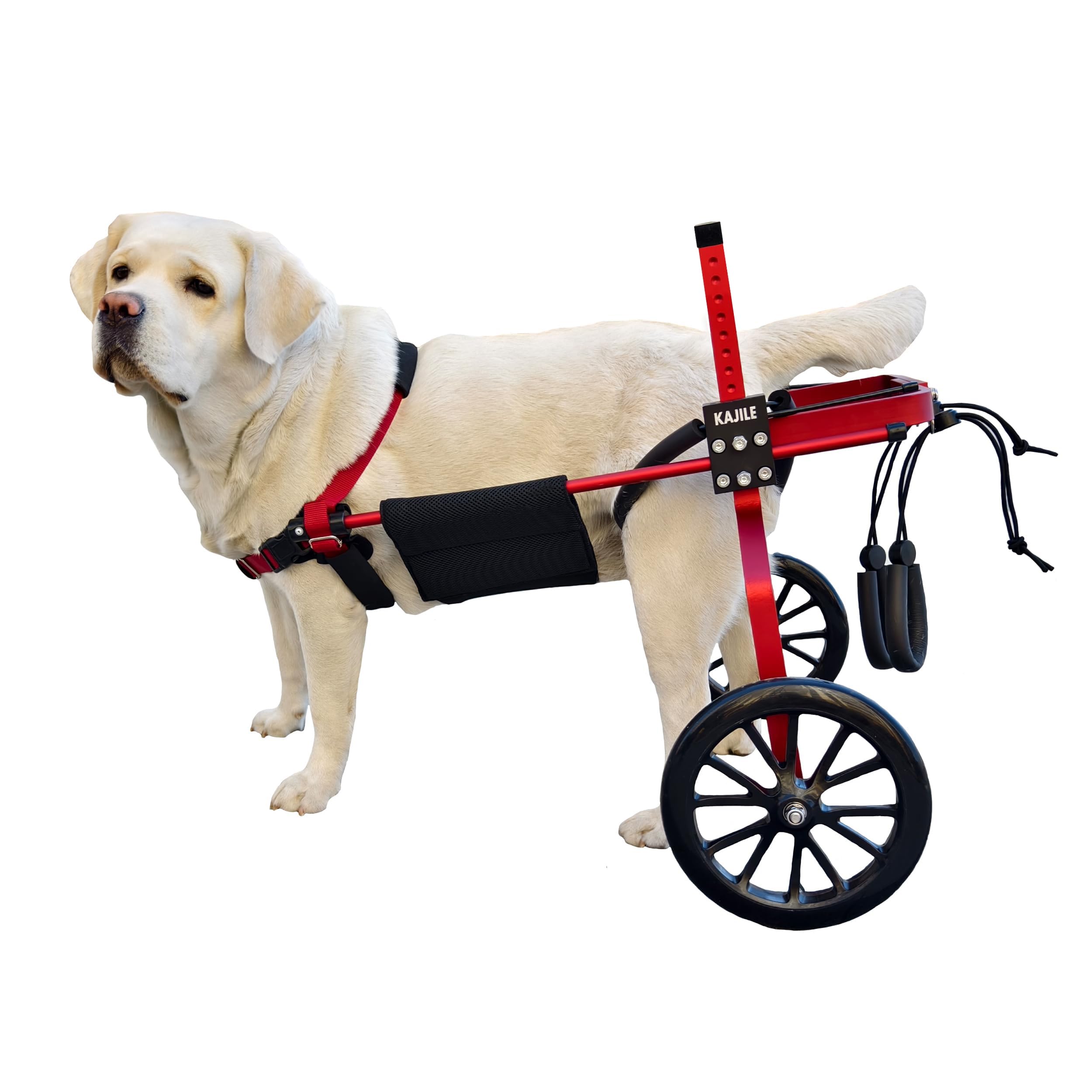 Silla Ruedas Perros, Rehabilitación Patas Traseras,Rojo,XL-2 | Fácil montaje, entrenamiento de rehabilitación para perros con discapacidad y patas traseras débiles,aleación de aluminio
