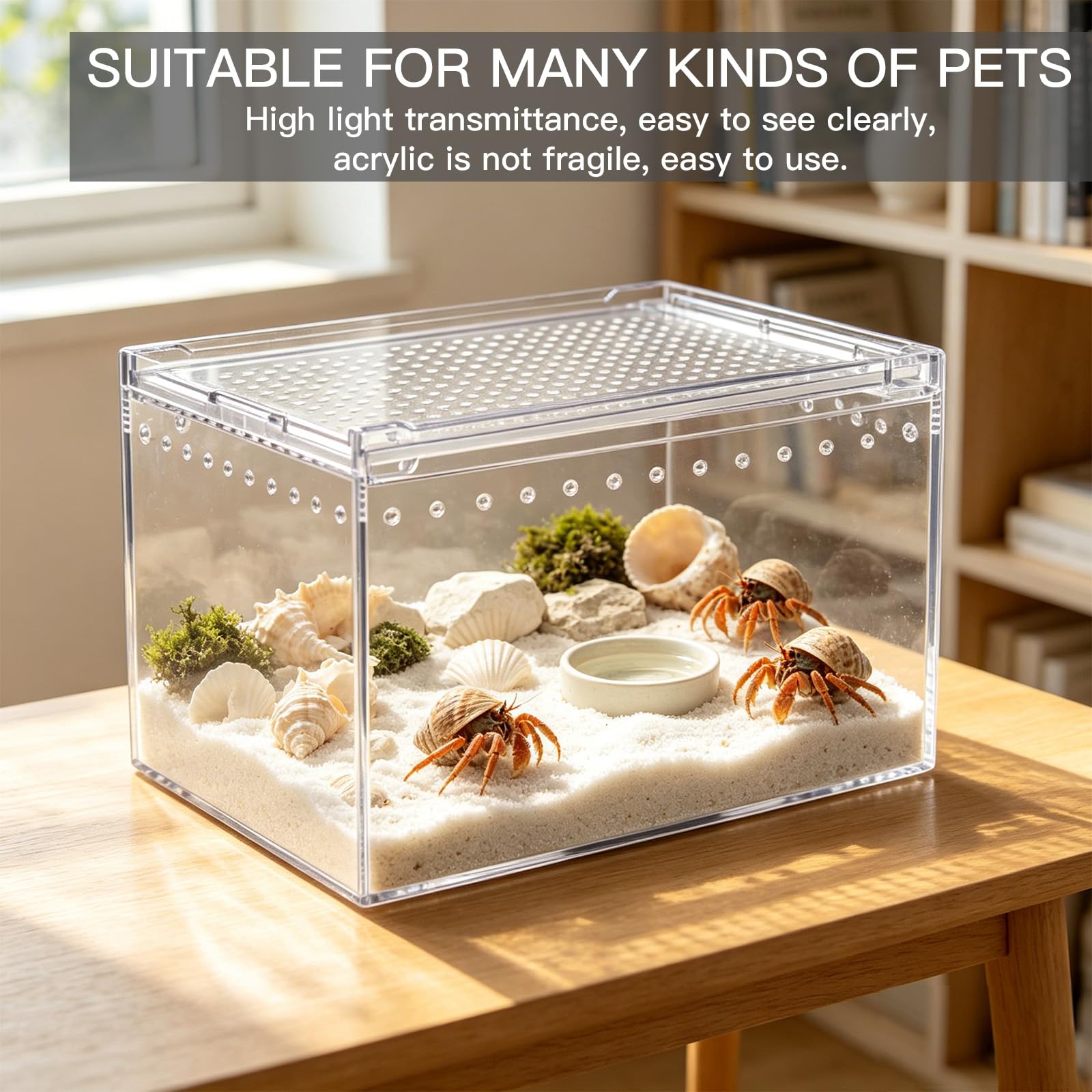 Magnetyczne pudełko do terrarium gadów, akrylowe, domowe, terrarium, układane w stos, pudełko na karmienie dla pająków, skorpiona, chrząszczy, rogatych żabek (30 x 20 x 15 cm)
