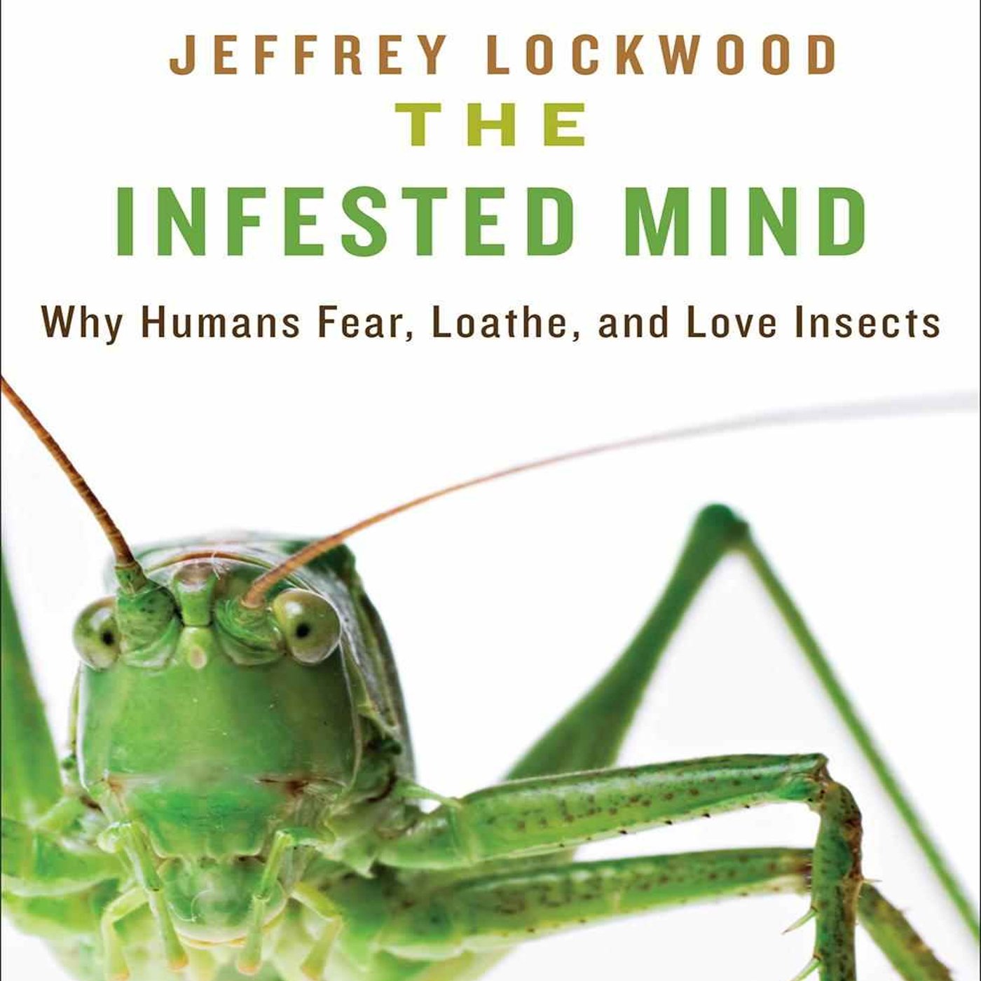 Cover art for The Infested Mind