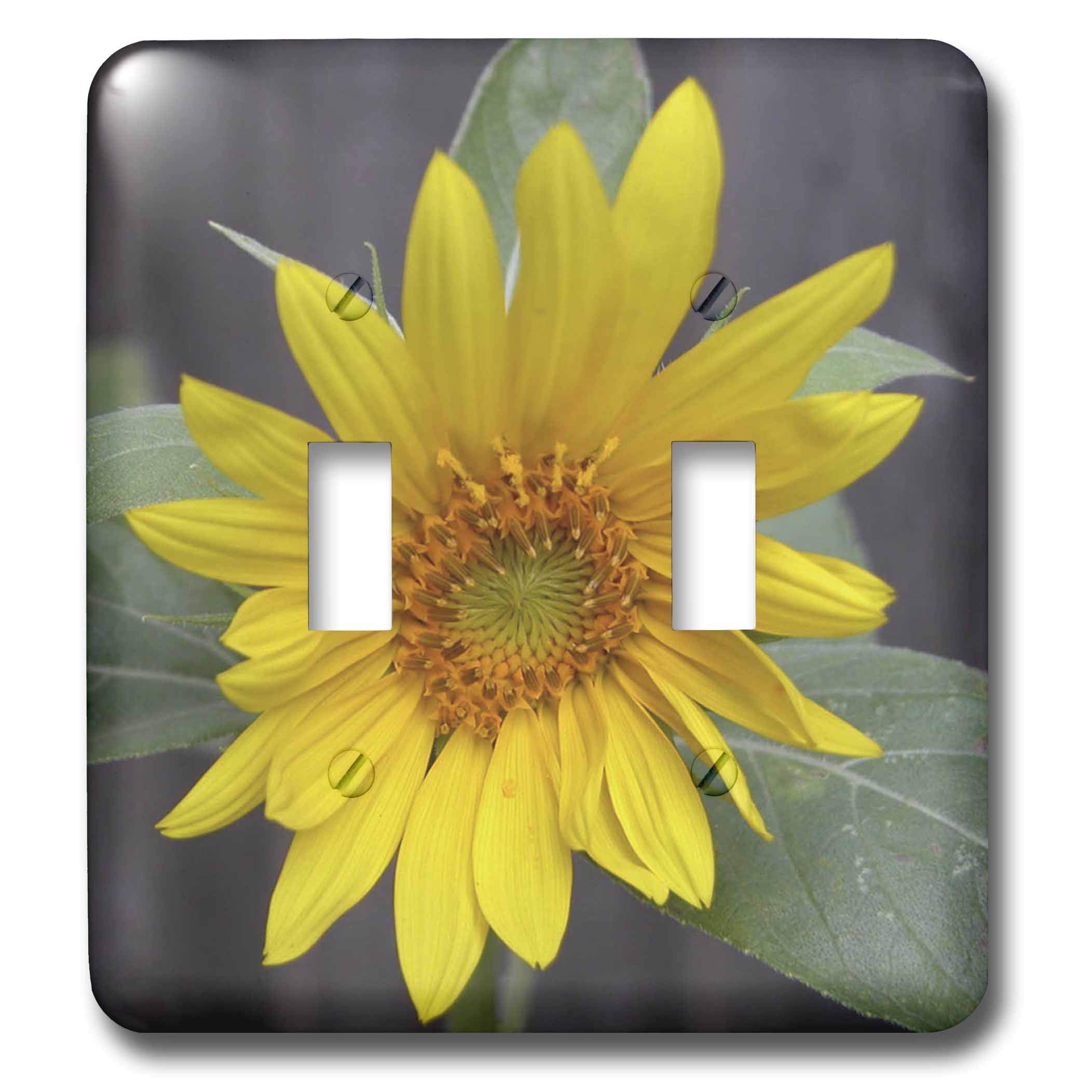 Interrupteur double tournesol pour remplacer vos plaques de plastique unies