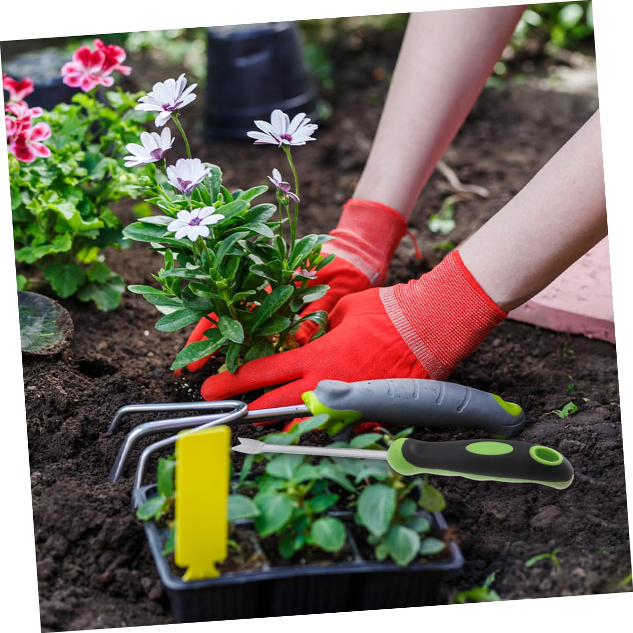 jojofuny 5piezas Herramienta De Jardinería Shape Para Quitar Malezas Extractor Manual De Hierbas Pala De Inoxidable Para Jardín y Patio Para Deshierbe y Trasplante De