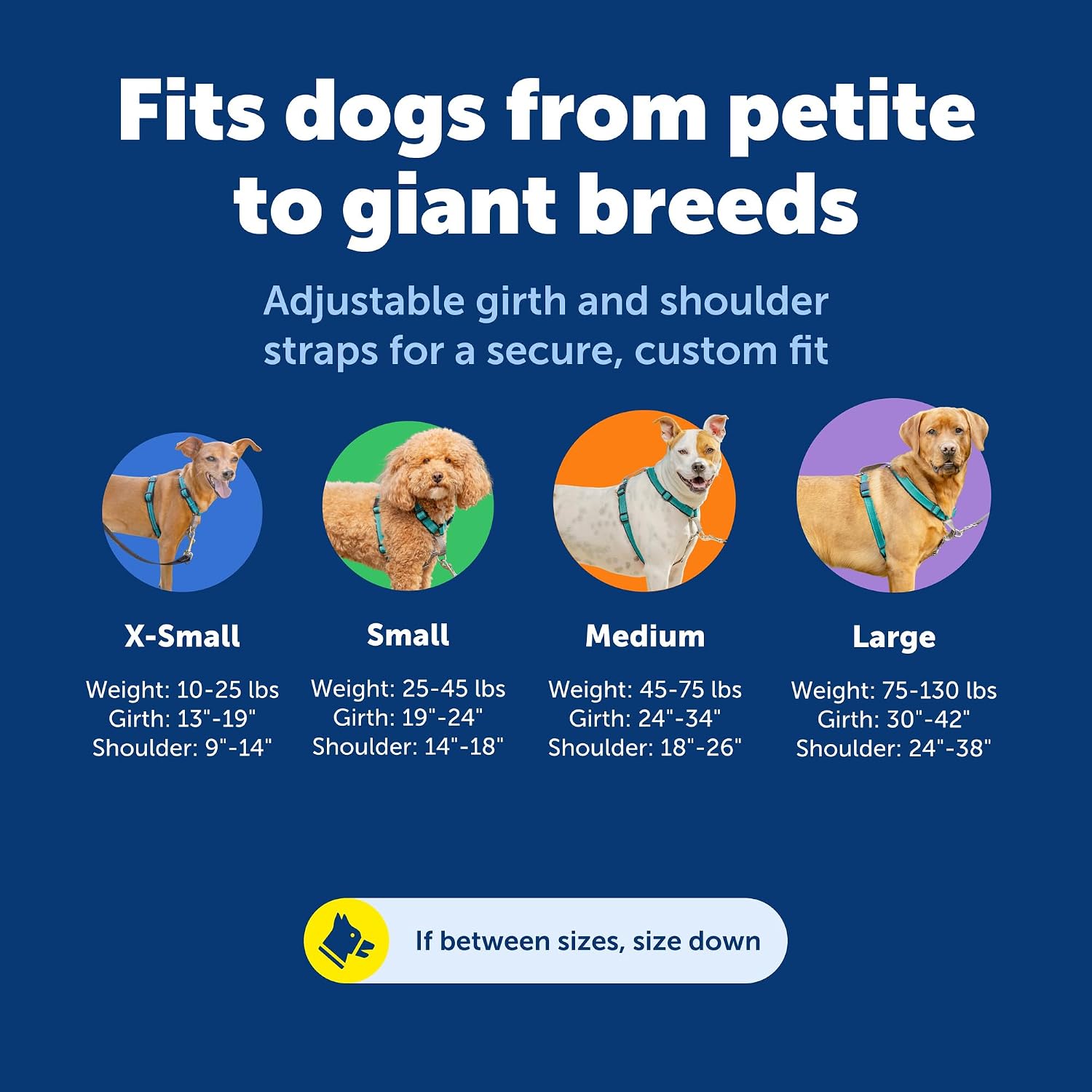 PetSafe 3 in 1 No-Pull Dog Harness for Small Dogs- Walk, Train or Travel - Helps Pets from Pulling on Walks - Seatbelt Loop Doubles as Quick Access Handle - Reflective- Extra Small, Teal