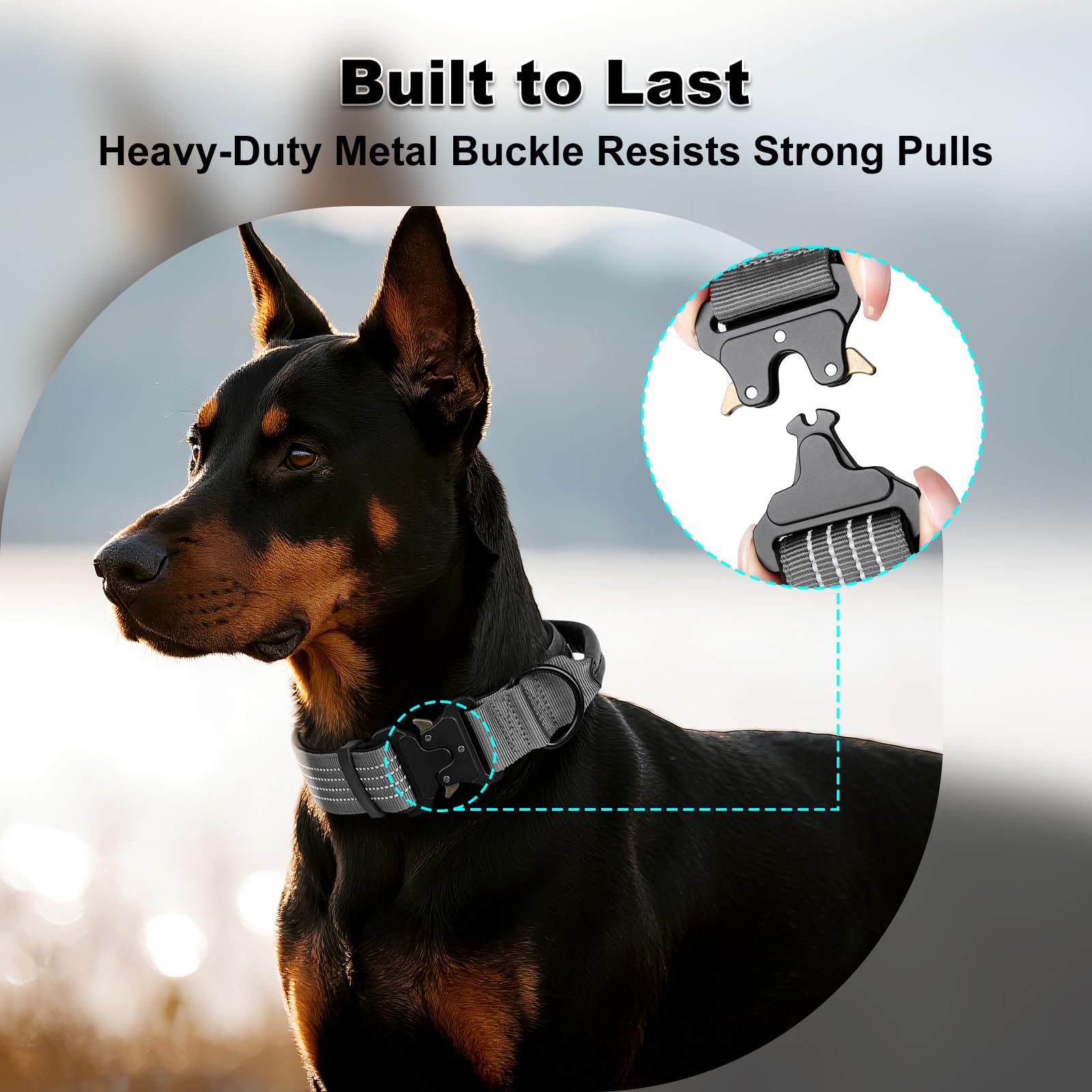 Plutus Pet Tactical Dog Collar with Tracker pocket for AirTag Adjustable Reflective Nylon Collar, Metal Buckle - Image 4