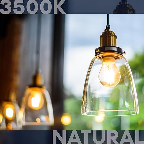 Miniatura 8 de LUXRITE Bombillas LED vintage A19 equivalente a 60 W, 3000 K blanco suave regulable, 800 lúmenes, bombilla LED Edison estándar de 8 W, certificación