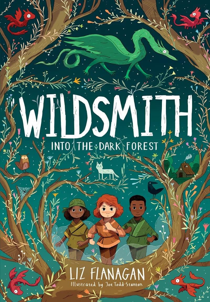 UCLan Publishing Into the Dark Forest: The Wildsmith #1
