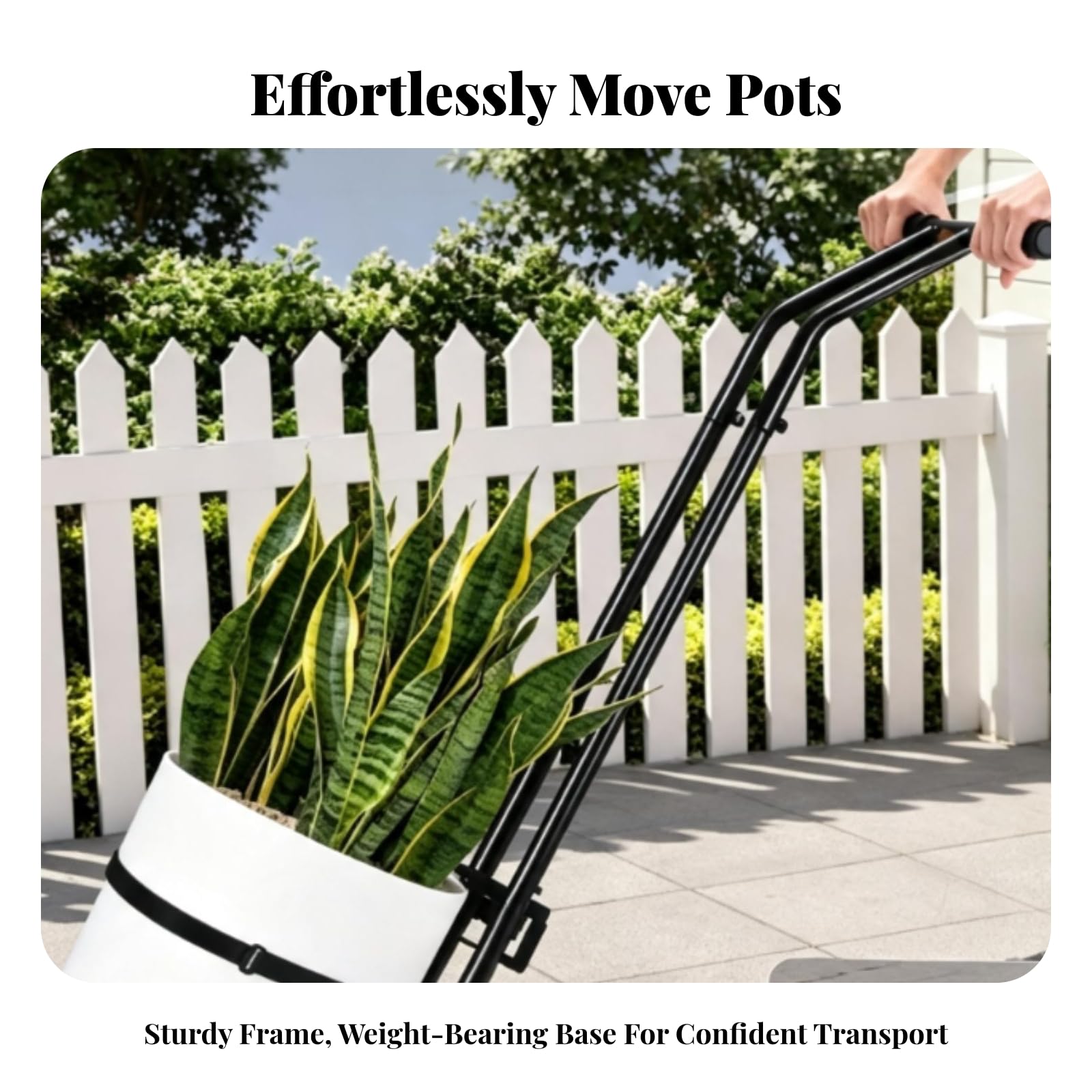 Chariot à roulettes pour Plantes