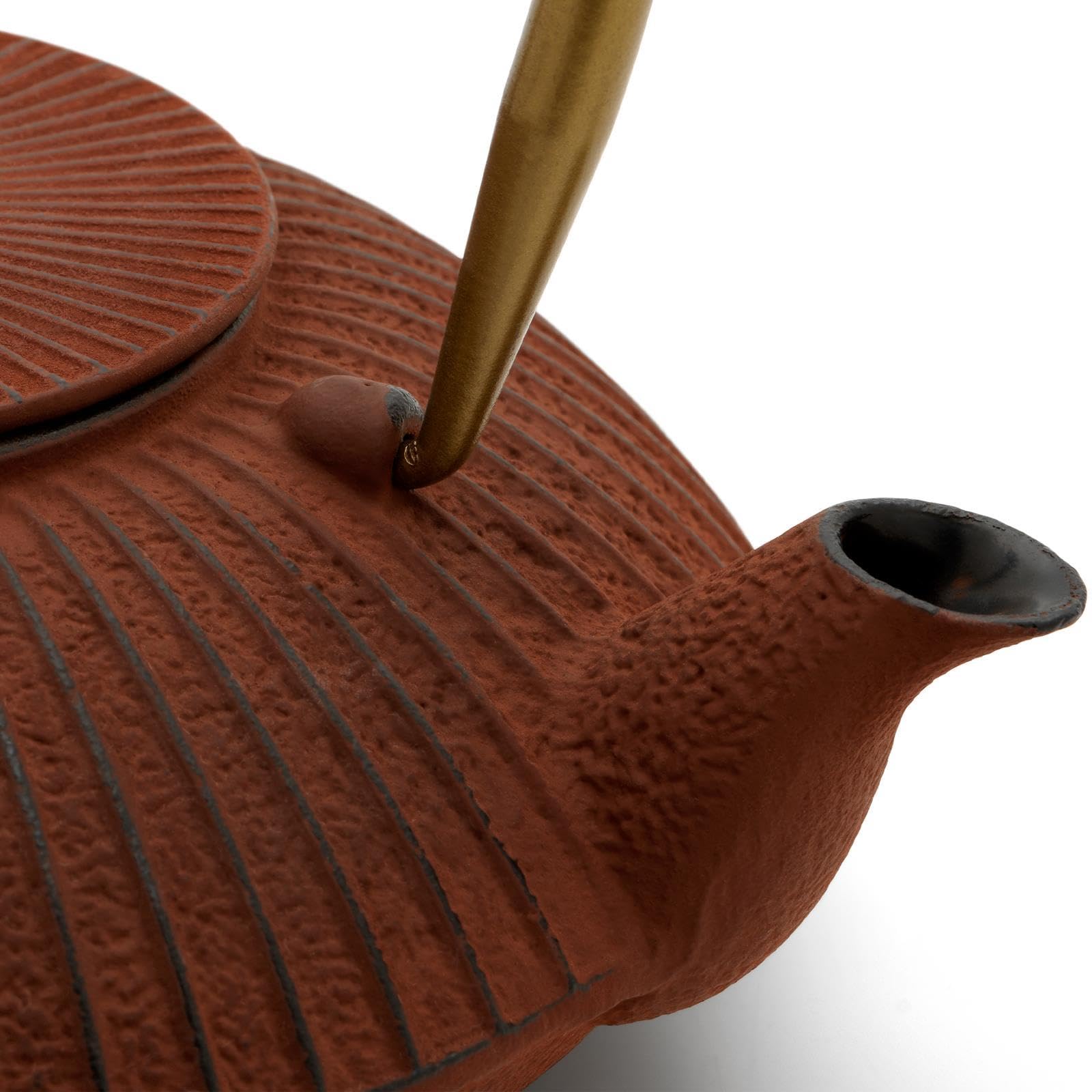 Bredemeijer rote flache Teekanne 1.1 Liter Gusseisen - Gusskanne Set im asiatischen Design & Edelstahl Tee-Filter Sieb-Einsatz für losen Tee & Teewärmer