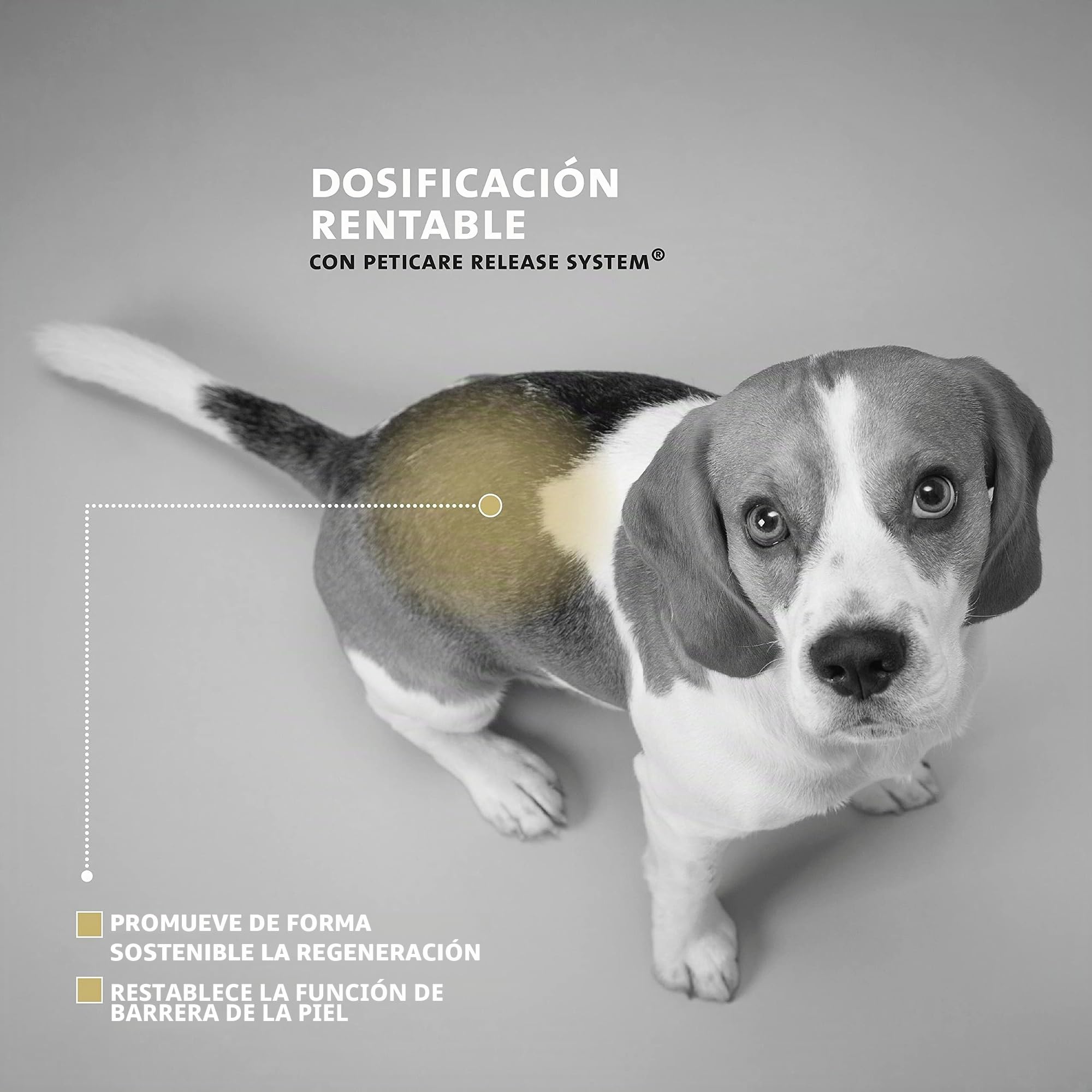 Peticare Tratamiento de heridas para Perros, Caballos y Gatos - pomada para heridas con picor severo, heridas por mordedura, abrasiones - petAnimal Health 2107