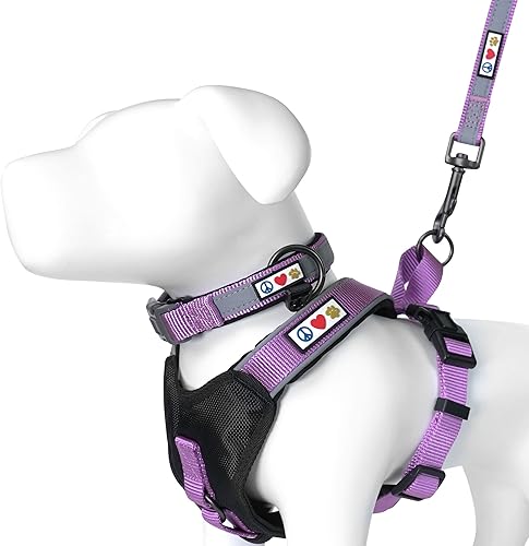 Pawtitas Paquete económico | Arnés acolchado mediano para perro + collar de perro acolchado mediano + correa acolchada mediana - Juego de orquídeas