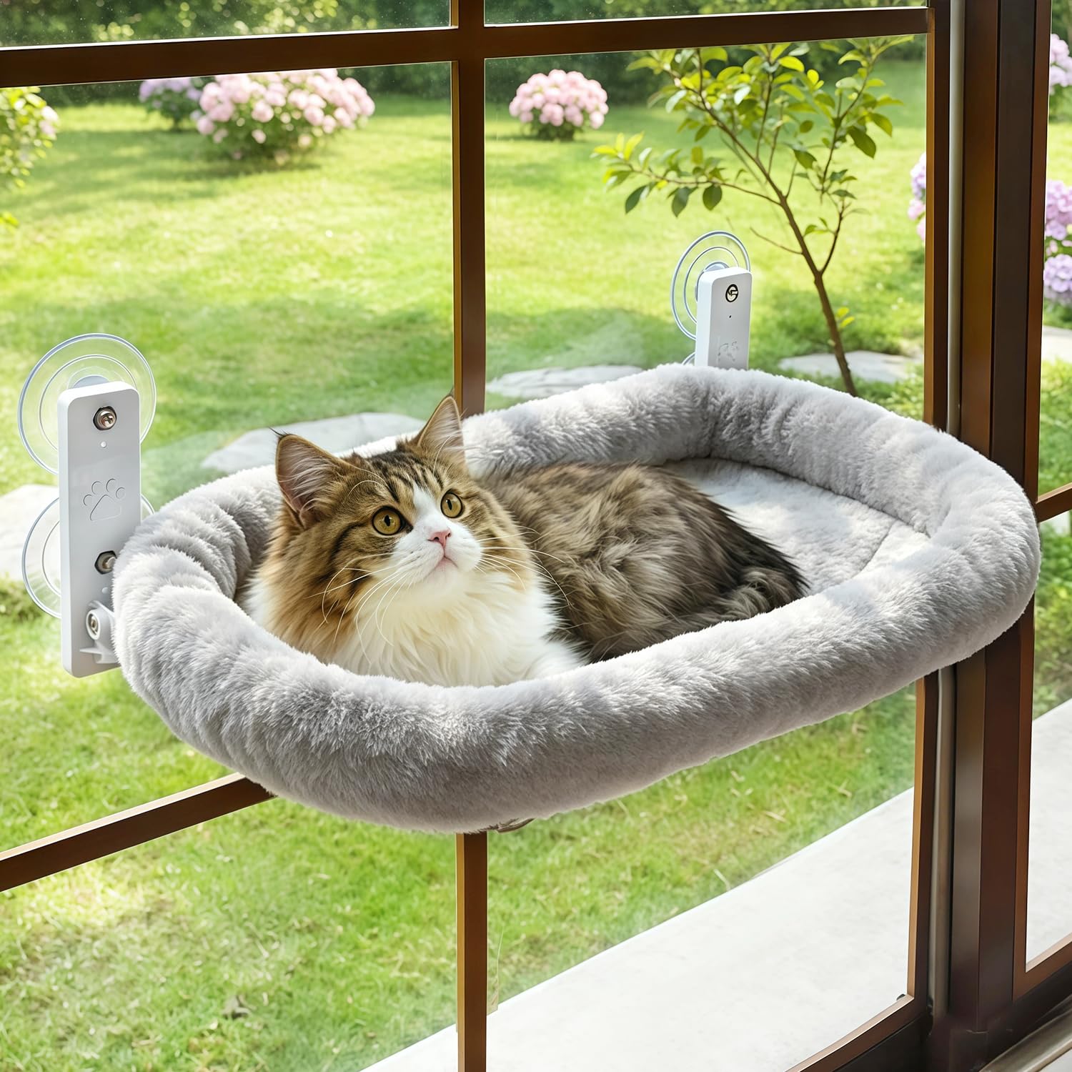 Amazon.com : AMOSIJOY Cordless Cat Window Perch, Cat Hammock for
