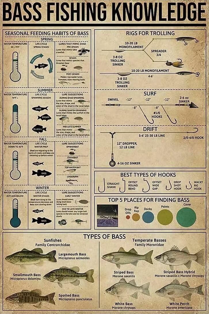 Bass Fishing Knowledge Canvas Wall Art Painting Seasonal Feeding Habits Of Bass Canvas Painting Vintage Posters Wall Art Gifts For Living Room Bedroom Office Home Decor Unframed 24x36 Inch Bass Fishing Knowledge 36"L x 24"W