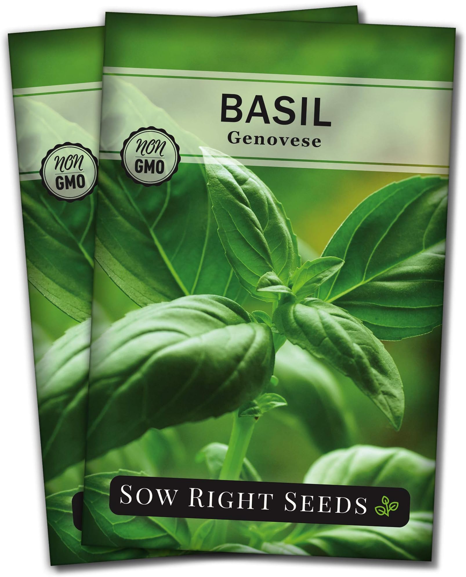 Sow Right Seeds - Genovese Sweet Basil Seed for Planting - Non-GMO Heirloom Packet with Instructions to Plant and Grow a Kitchen Herb Garden - Indoors or Outdoor - Great for Hydroponic Gardening (2)