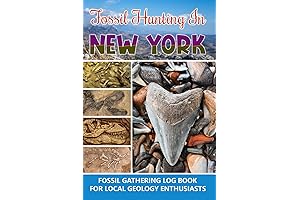 Fossil Hunting in New York: Fossil Gathering Log Book