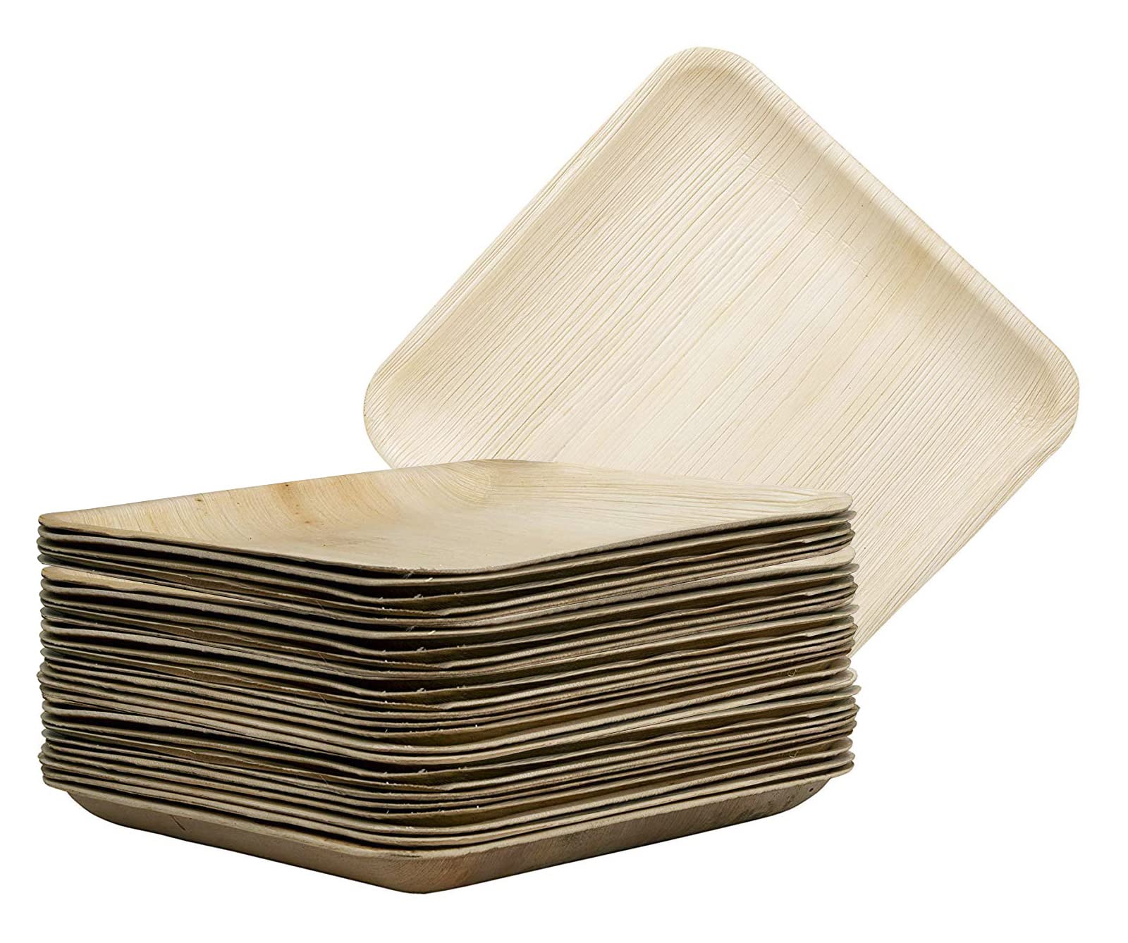 ECOPALAreca Leaf Plate - Dinnerware Plates - Square 10 x 10in (25.5 x25.5cm, Pack of 25)