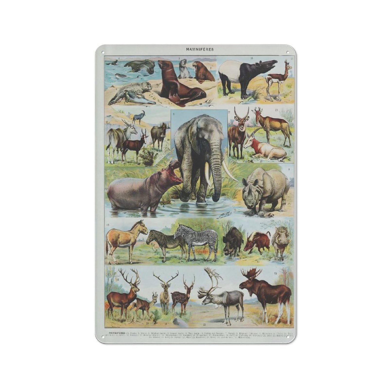Junmoney Style-3 Vintage Mammals Tin Sign 30X20cm, Vintage Home Bar Decor For Cafe, Pub, Workshop Or Home Bar, For Relaxed Wall Styling