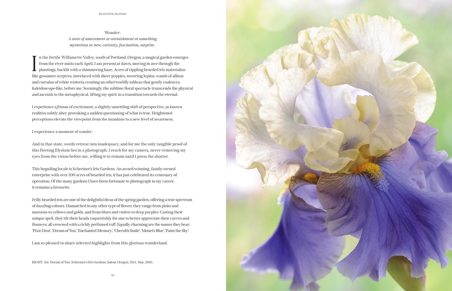 Beautiful Blooms: The ultimate inspiration for anyone who loves flowers, design and photography.