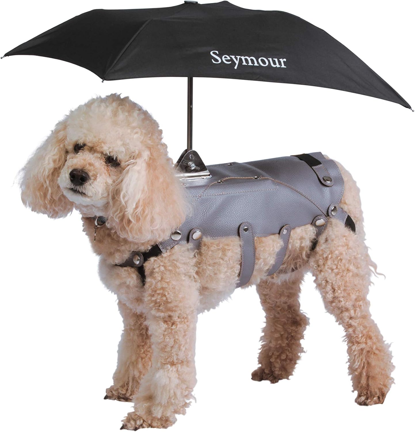 amazon dog umbrella