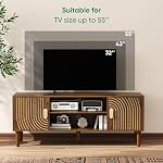 43" TV Stand for TVs up to 55 Inch, Entertainment Center with Storage and Adjustable Shelves, Modern Media Console for Living Room, Walnut