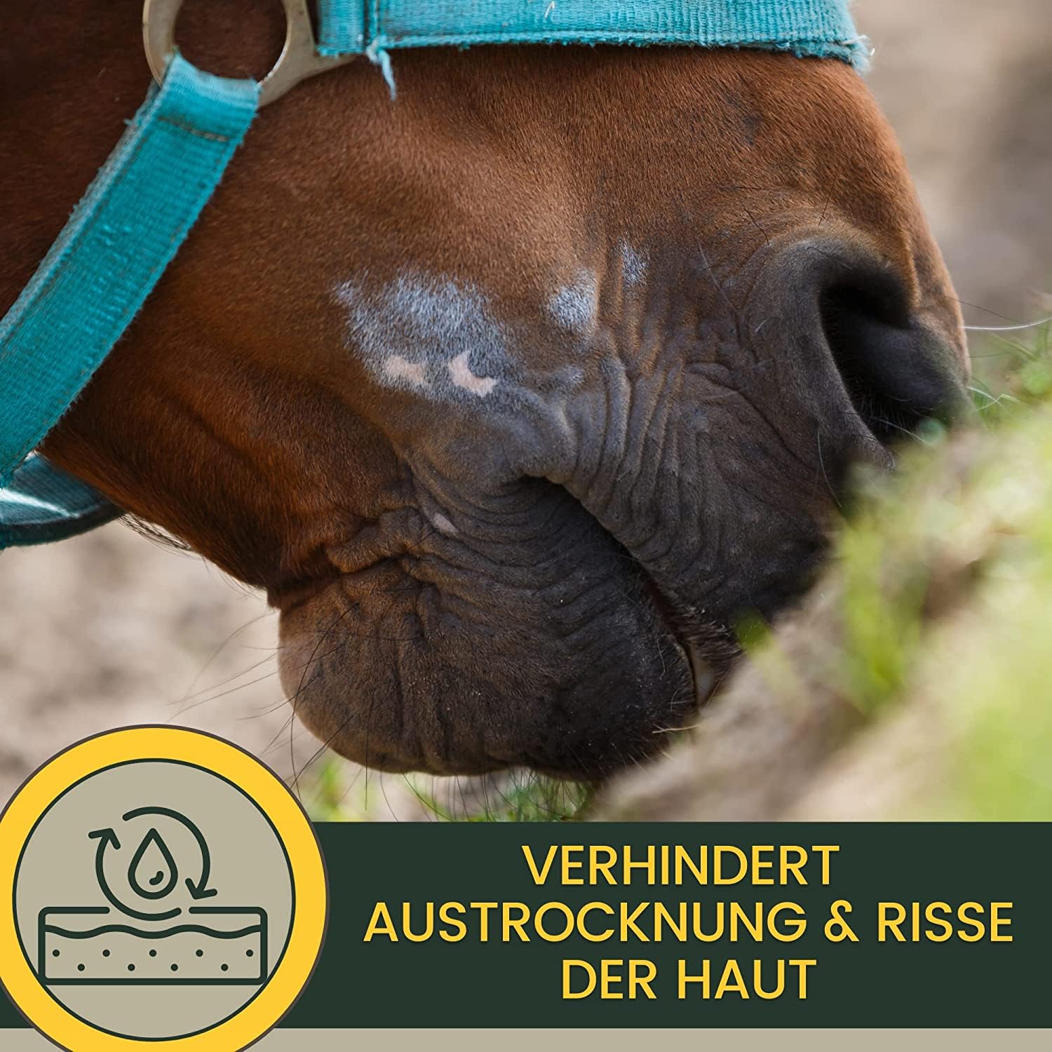 EMMA Erste-Hilfe-Set: 2×100 ml Silberspray + 250 ml Zinksalbe | Haut- und Pfotenpflege für Hund, Katze & Pferd – Sprühschutz plus Lebertran-Zinksalbe