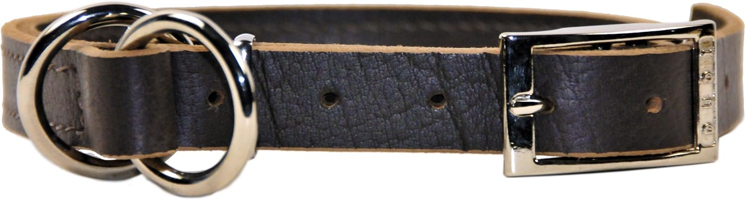Dean & Tyler Strictly Business 2 in 1 Dog Choke Collar with Nickel Hardware, Fits Neck Size 20-Inch to 24-Inch, Black