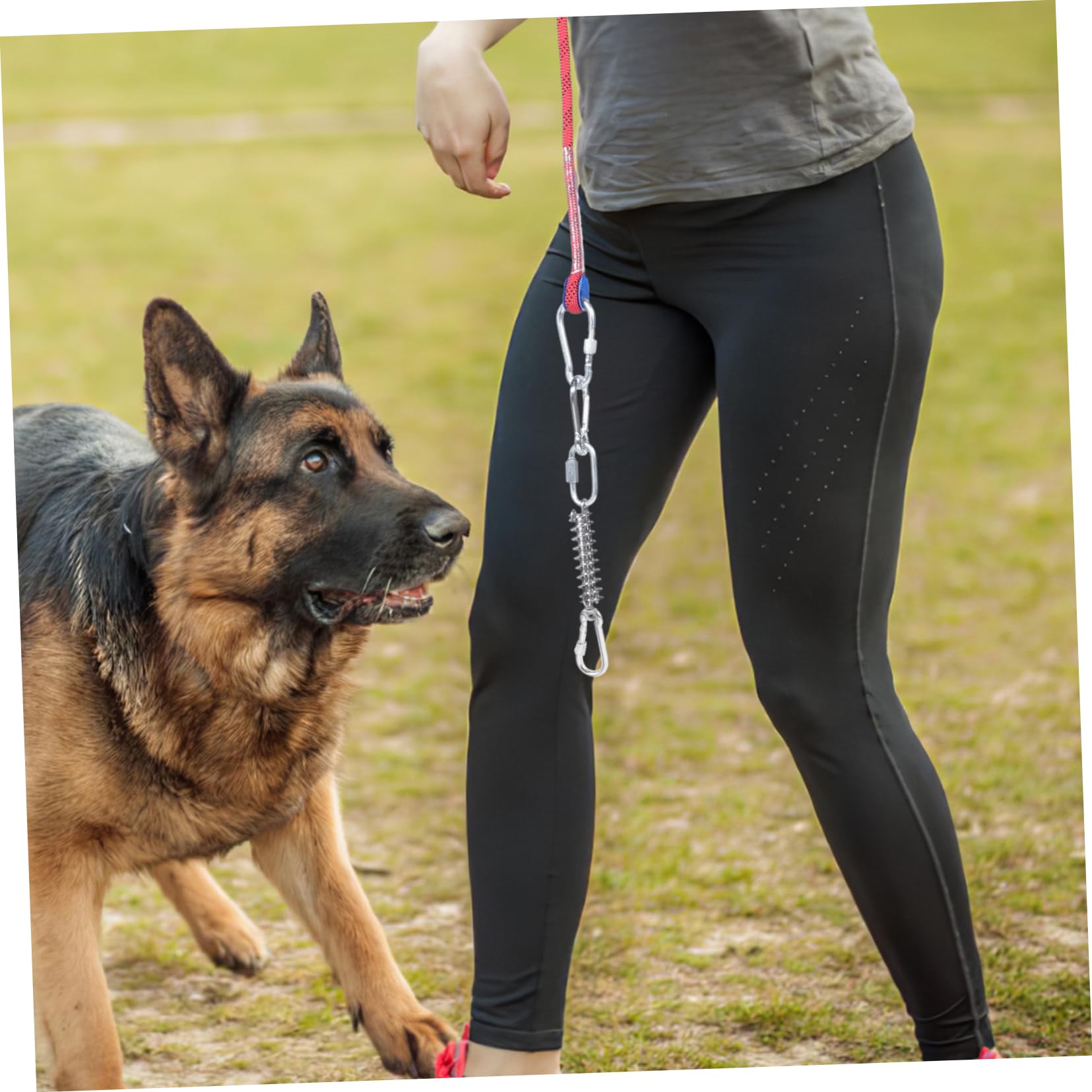 Didiseaon Correa para Perro Cable De Amarre para Perros Cuerda para Acampar para Mascotas para Camping y Actividades Resistente y para