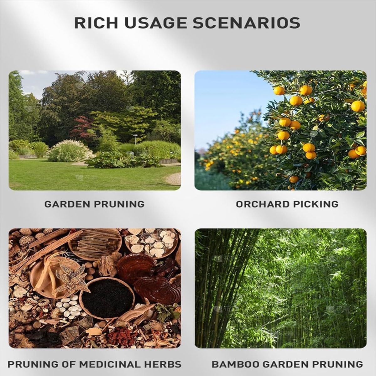 Pole Saw & Pruning Shears Combo Kit, 3-in-1 Cordless Pole Chainsaw with 2 Batteries,Cordless Secateurs with Extension Pole,Tree Trimmer Limb Branch Cutter Pruner,for Tree Trimming