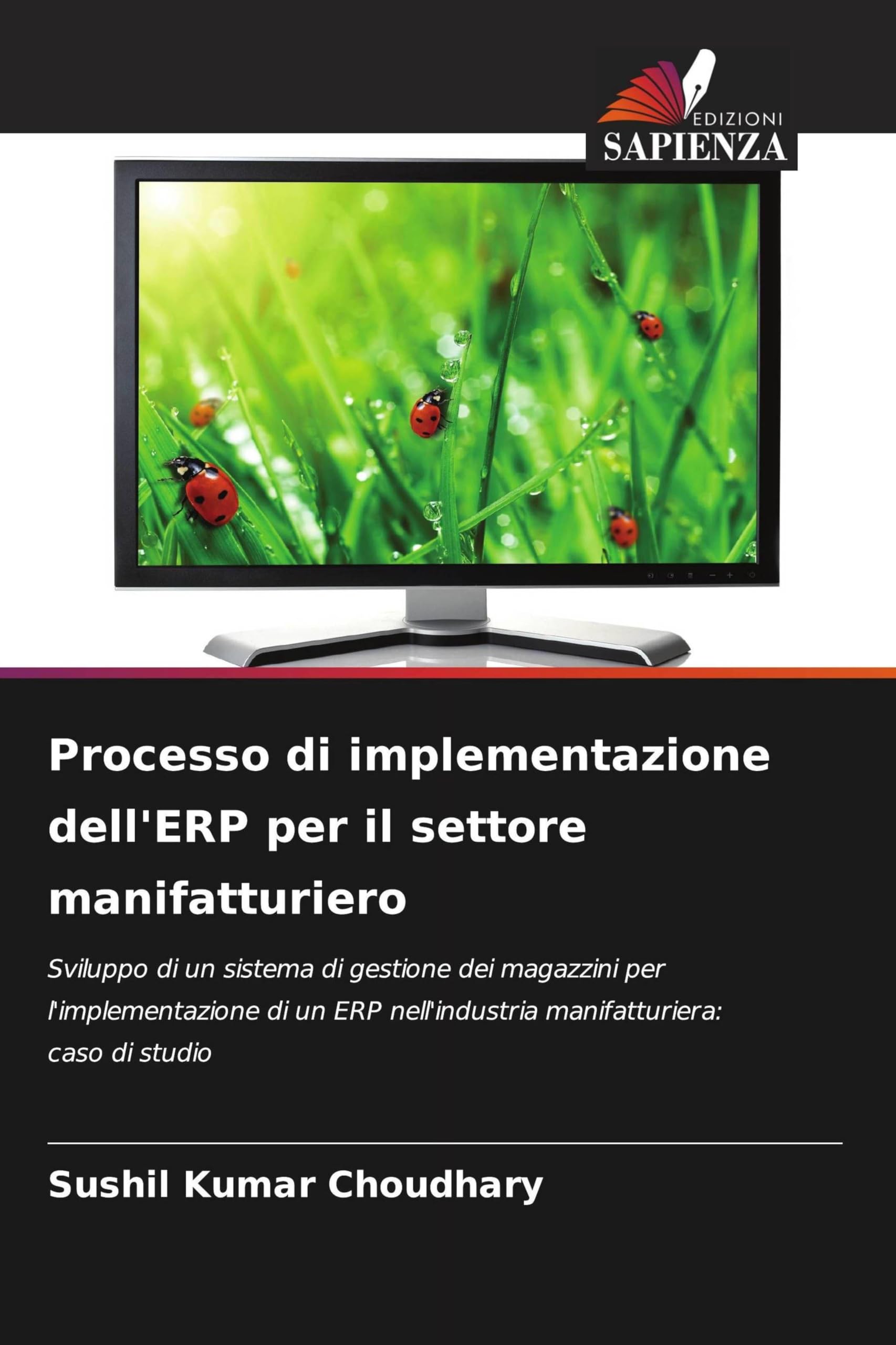 Processo di implementazione dell'ERP per il settore manifatturiero: Sviluppo di un sistema di gestione dei magazzini per l'implementazione di un ERP nell'industria manifatturiera: caso di studio