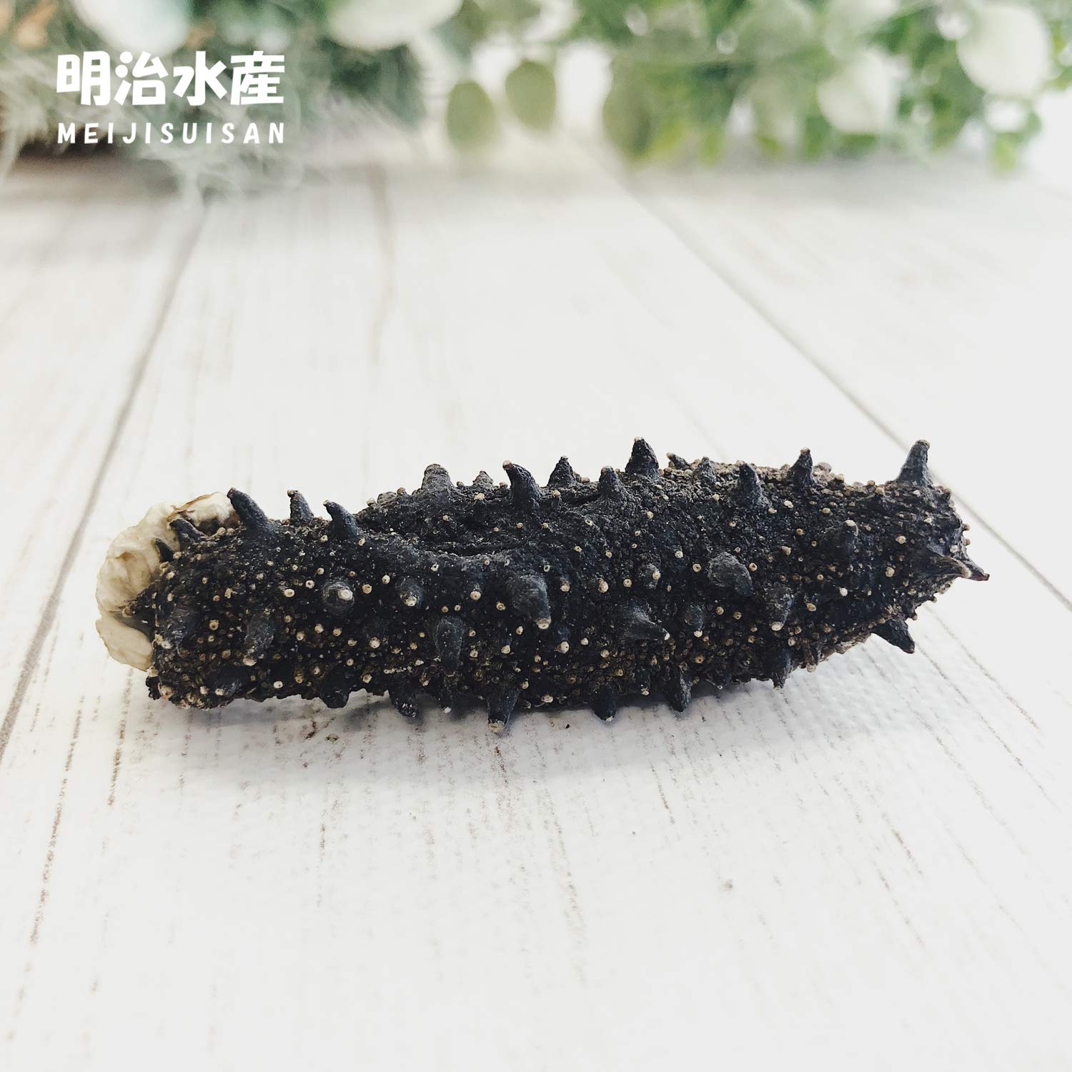 Amazon.co.jp: 【北海道産】 乾燥なまこ 天然 B品 訳あり 100g 明治 