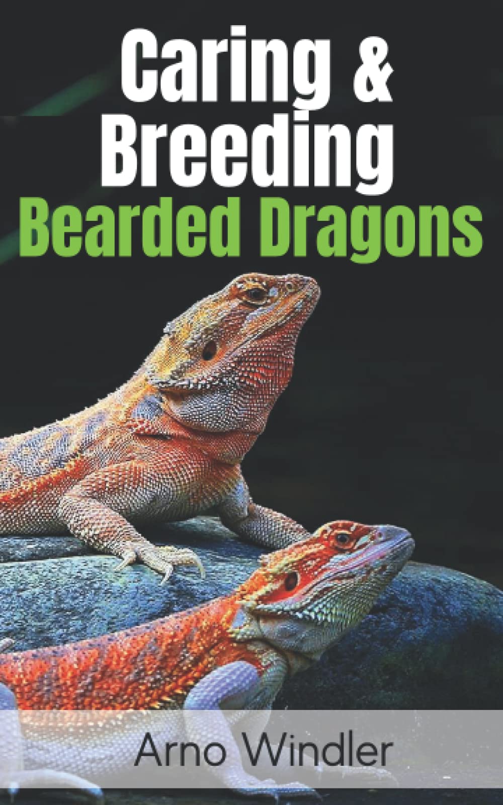 Caring & Breeding Bearded Dragons: Complete Step-By-Step Beginners Guide On How To Care For And Breed Bearded Dragons Lizard At Home.