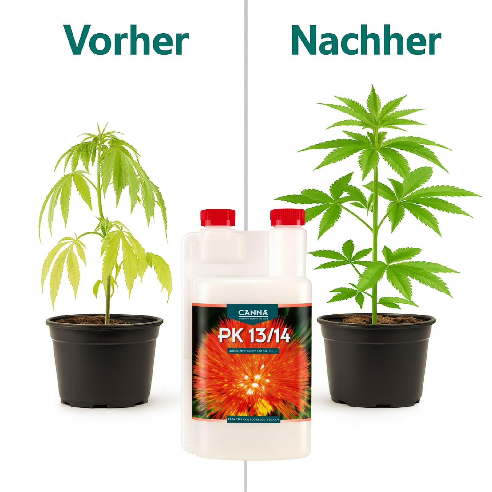 Weedness Canna PK 13/14 5 Liter - Grow Anbau Indoor Dünger NPK Organischer Flüssig Bio