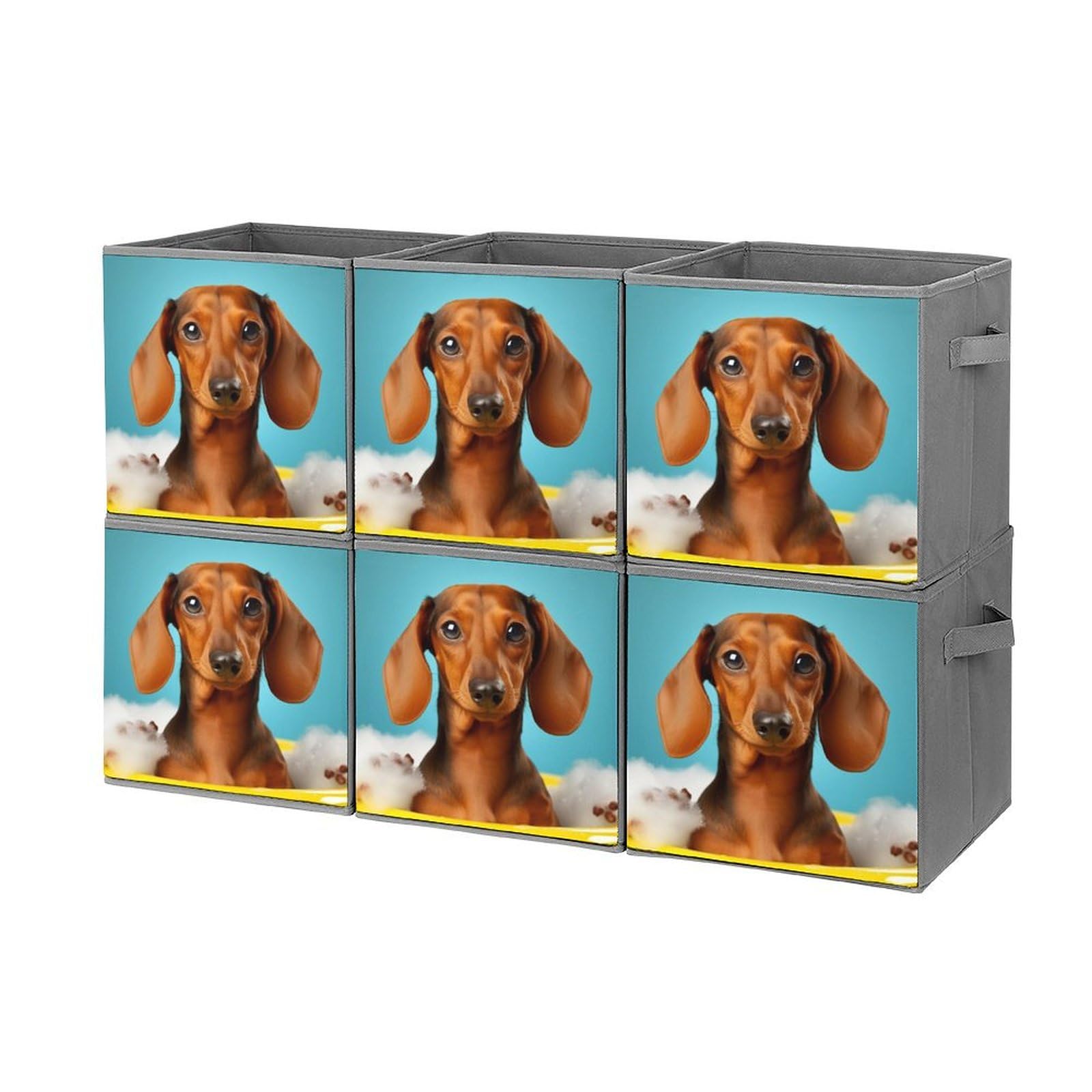 Boîtes de rangement pliables pour chien teckel bacs组织vêtements 27,9cm