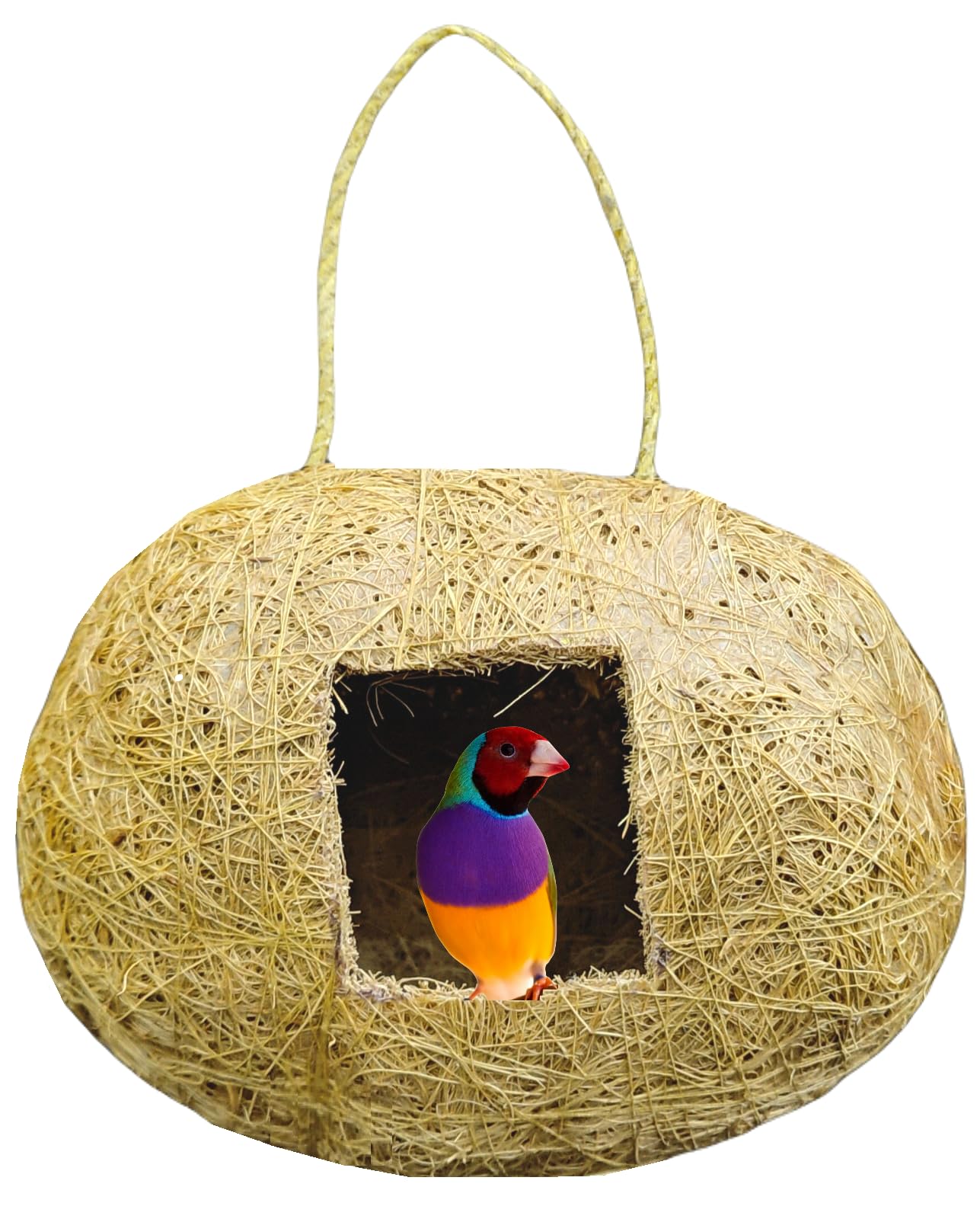 ZENRISE Handicraft Coir Bird Nest Hanging for pet Birds in cage and Balcony Decor, 18 x 14 cm, Oval Shape-image-29
