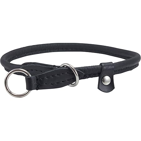 leather choke collar