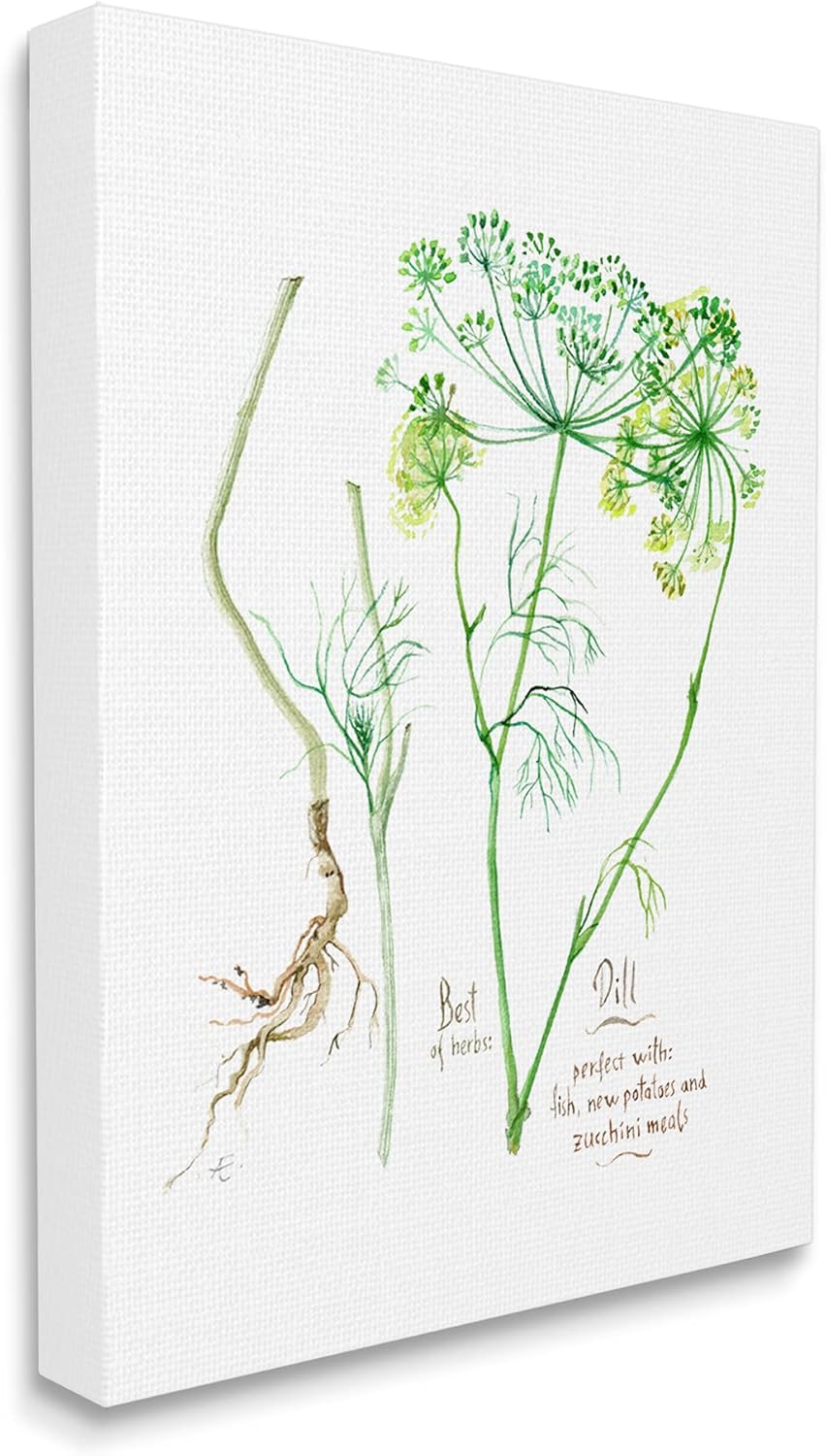 Stupell Industries Dill Greens Best of Herbs Watercolor Garden Plants