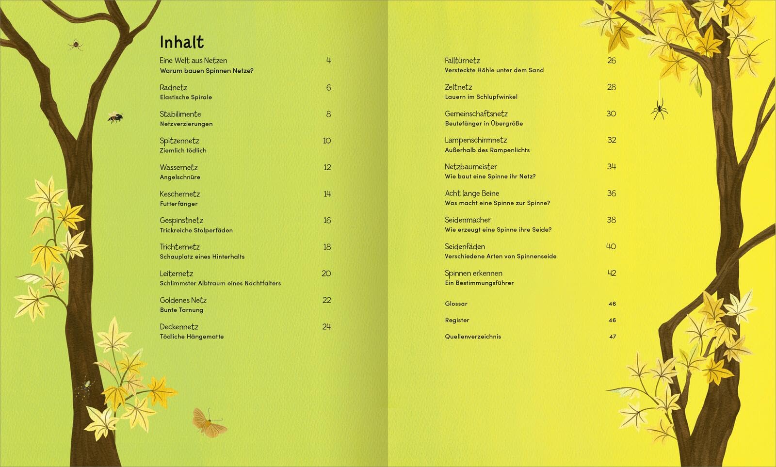 Wunderwelt der Spinnennetze: Ein besonderes Kindersachbuch ab 8 Jahren über Spinnen und ihre faszinierenden Netze – mit Silberfolie