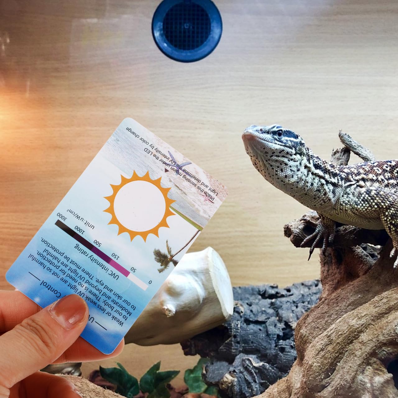 COLLBATH 10 Piezas Tarjeta Prueba UV Sensores Cambio de Color para Terrarios Reptiles Detectores Intensidad Luz Ultravioleta Monitoreo en Tanques de Cristal Incluye Escala de Referencia