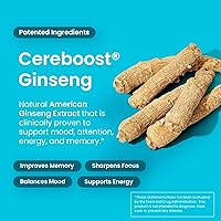 Vista 5 de Neuro Memory & Focus + Sleep & Recharge Set – Memory & Focus Gum (Peppermint, 90 piezas) + Melatonina 1mg Sleep & Recharge Mints