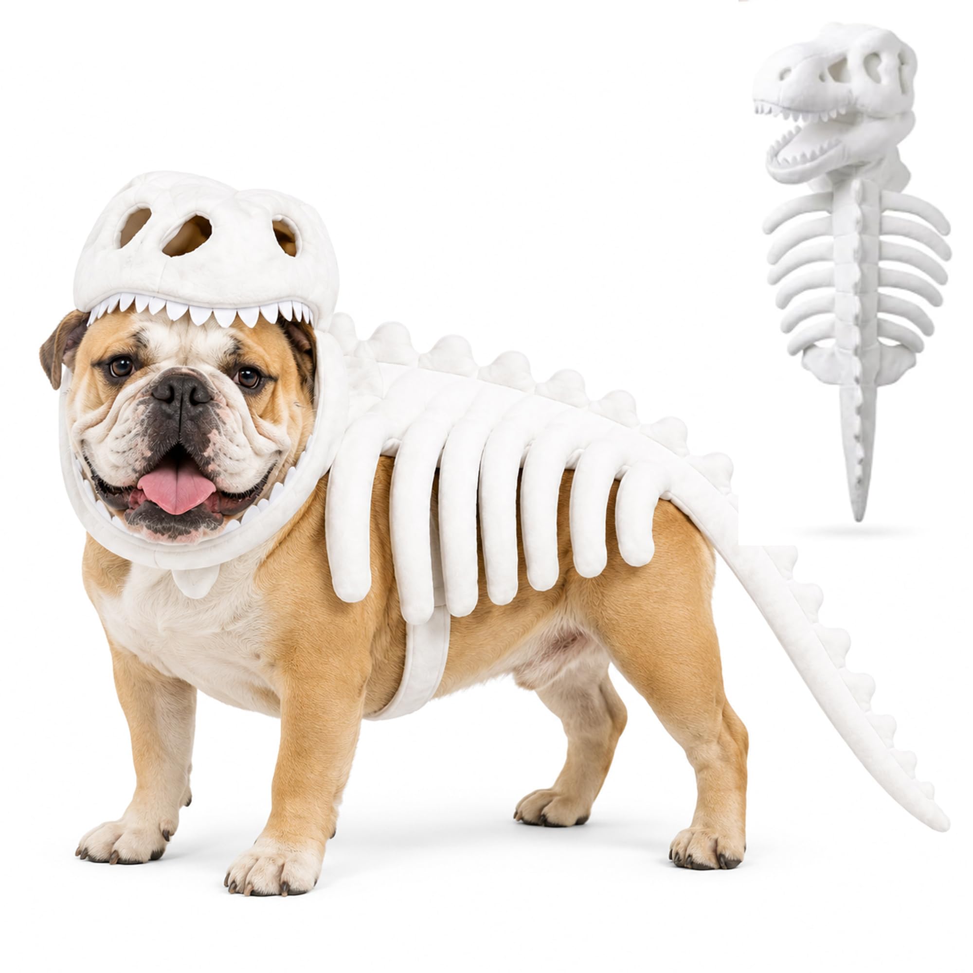 Dog Dinosaur Costume, 3D Skeleton Halloween Costume for Dogs