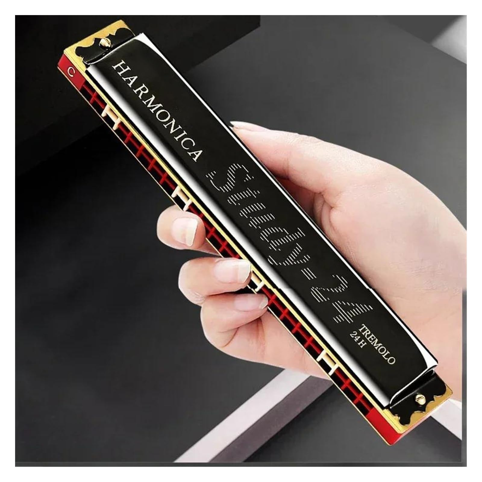 Amazon.com: 24 Hole Harmonica Tremolo Suzuki Mouth Organ Gaita