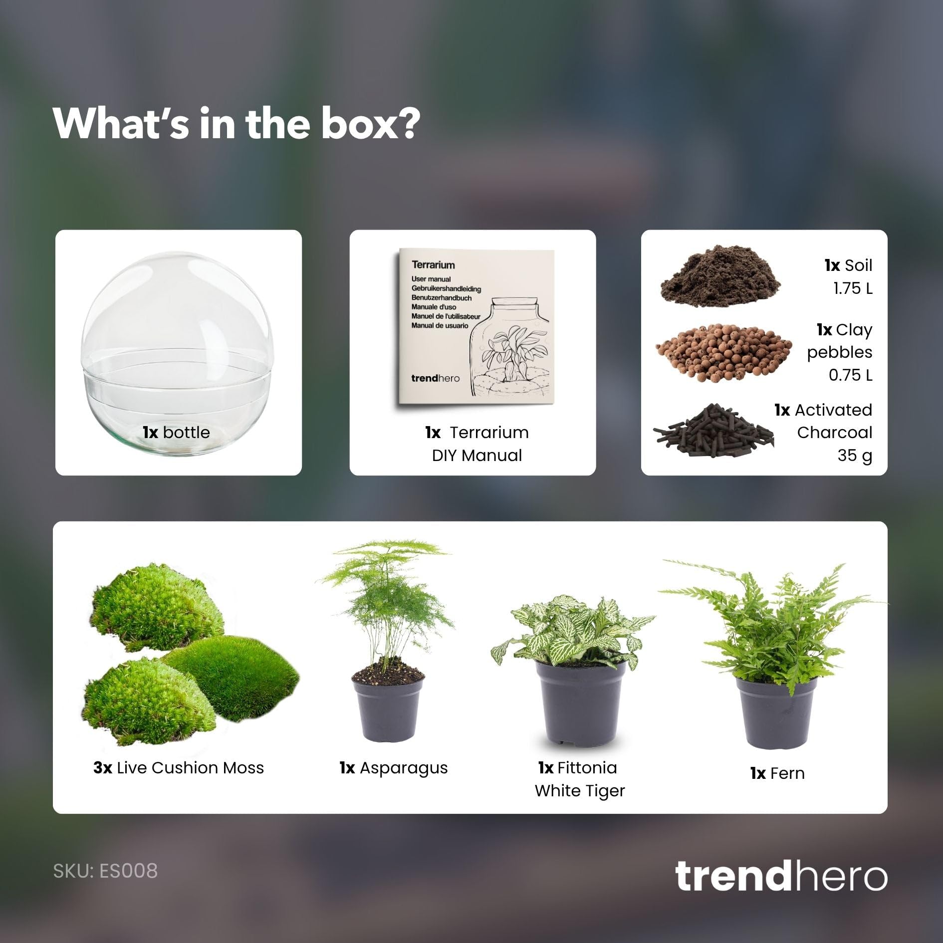 Terrario de Plantas - Dome XL - Planta ecosistema - ↑ 30 cm