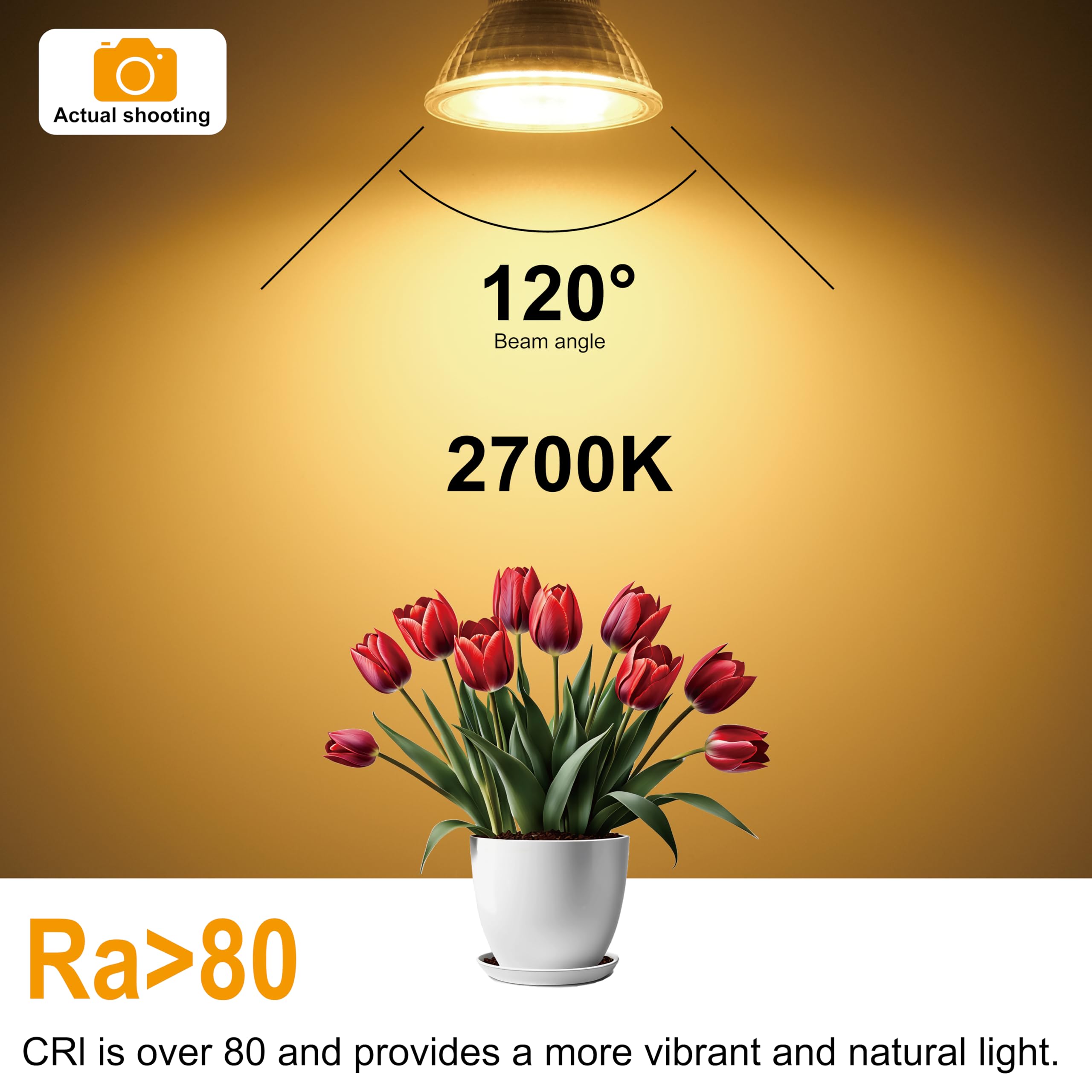 WSMCN MR16 GU5.3 LED Light Bulbs Warm White 2700K, 6.5W Equivalent to 50W Halogen, Bi-Pin Base 12V 615LM, Non Dimmable - Image 4