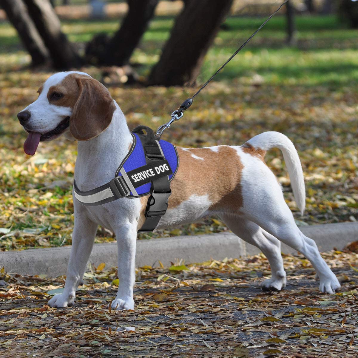 JSXD Arnés para perros, arnés de perro con mango ajustable para exteriores, chaleco de nailon reflectante 3M para razas, fácil control para perros pequeños, medianos y grandes