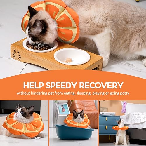 Miniatura 3 de Avont Collar de cono para gato, suave, ajustable, alternativa al collar E para gatos, gatitos, cachorros, cono isabelino de la vergüenza para evitar