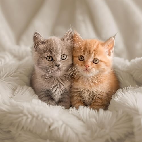 Miniatura 5 de Hyde Lane Mantas mullidas y bonitas para sofá o sillón, reversible de 2 vías, ultra suave, larga, de pelo sintético, mantas peludas, acogedoras y