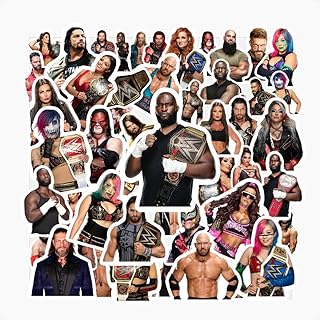 4 Sheets Wrestling Stickers for Water Bottles Wrestling Birthday Party Supplies for Kids Party Decorations Party Favors, Car Stickers and Decals