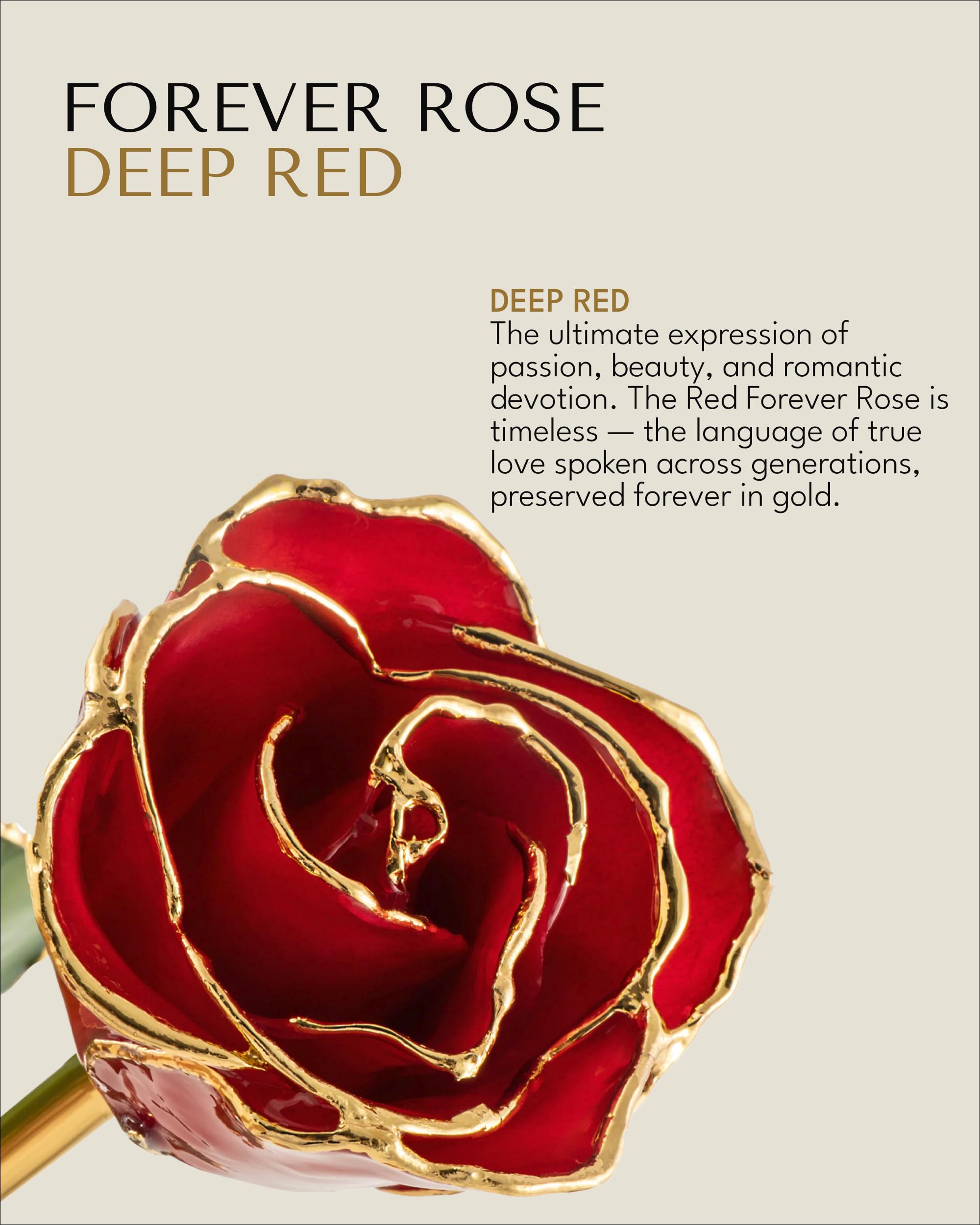 Amazon.co.jp: Forever Rose リアルレッド 本物のOne of A Kind 24K