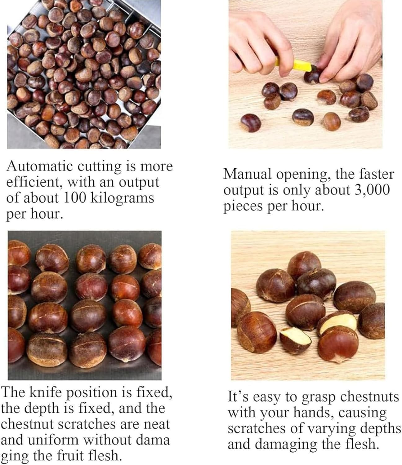 Scantonatrice semiautomatica per castagne, regola la dimensione e la direzione delle castagne, per la preparazione delle castagne, perfetta per la lavorazione degli alimenti