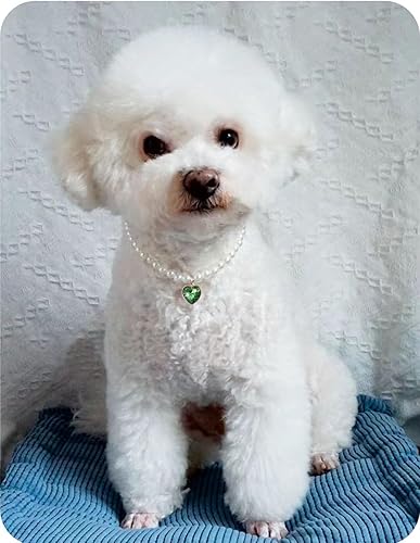 Miniatura 3 de Collar de perlas para gatos, collar de perro con diamantes de imitación para perros pequeños, accesorios para collar de mascotas (pequeño, esmeralda)