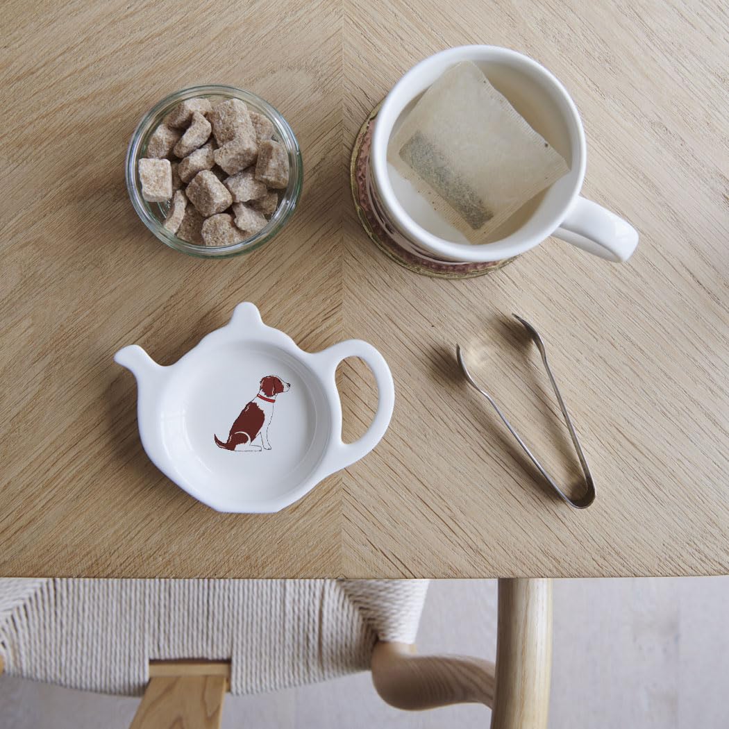 Sweet William Teabag Dish, Teapot Shape, Springer Spaniel, Liver